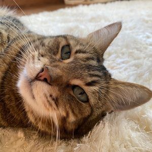 Meet your Posher, Alanagh